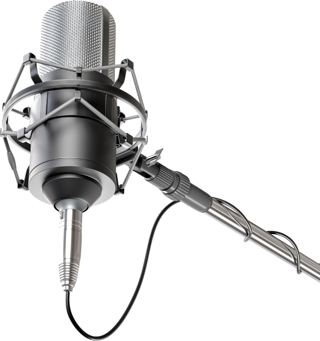 Professional Studio Condenser Microphone
